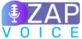 zapvoice.com
